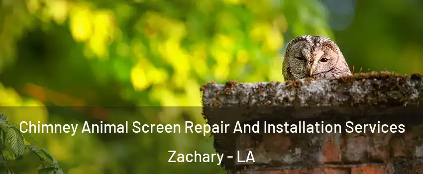  Chimney Animal Screen Repair And Installation Services Zachary - LA