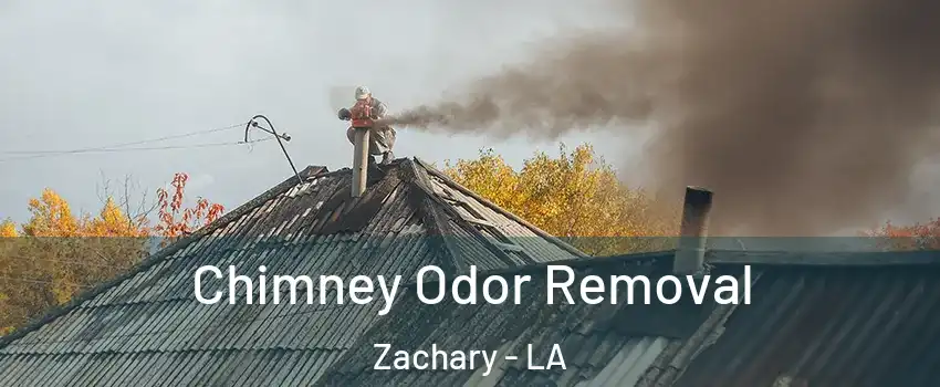  Chimney Odor Removal Zachary - LA
