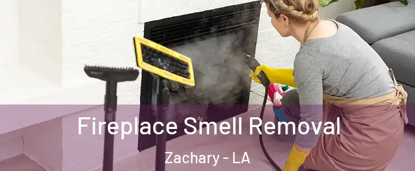  Fireplace Smell Removal Zachary - LA
