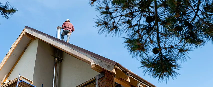 Birds Removal Contractors from Chimney in Zachary, LA